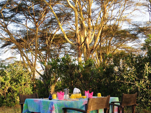 Bush Meals