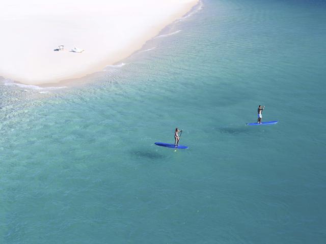 Paddle Boards