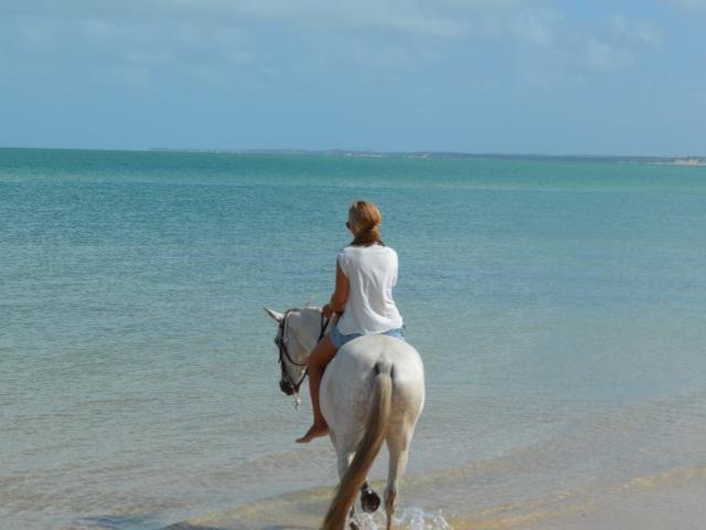 Horse riding