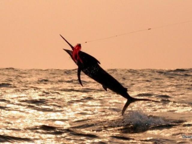 Fishing