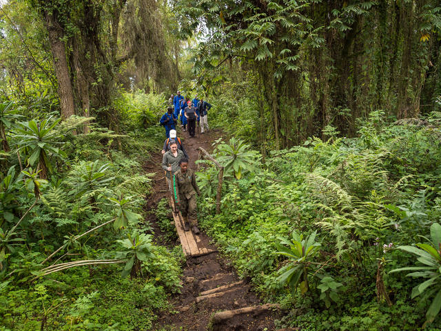 Bisate Lodge – Hike To Dian Fossey’s Grave & Karisoke