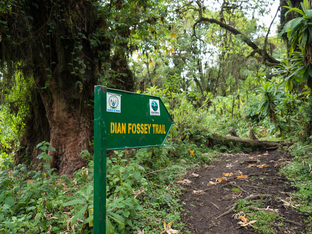 Hike To Dian Fossey’s Grave & Karisoke