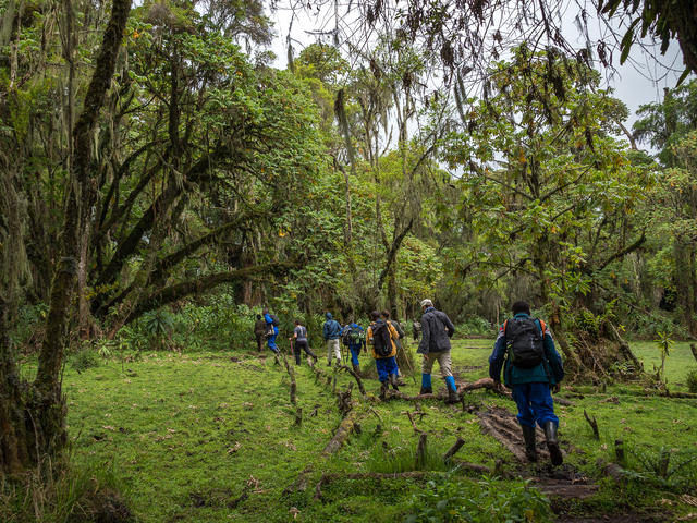 Guided Walks In Volcanoes National Park