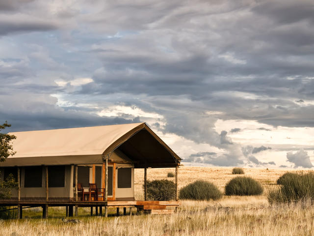 Desert Rhino Camp - Standard Tents
