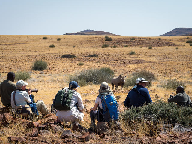 Desert Rhino Camp - Rhino tracking on foot and by vehicle