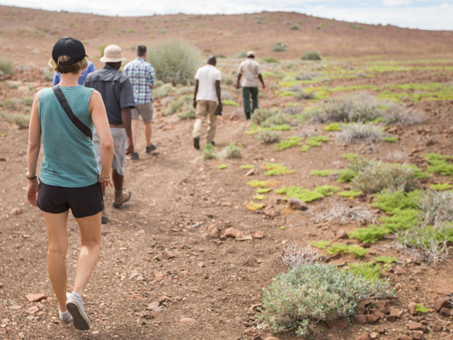 Desert Rhino Camp - Guided nature walks