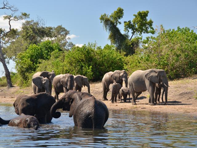 Game Drives