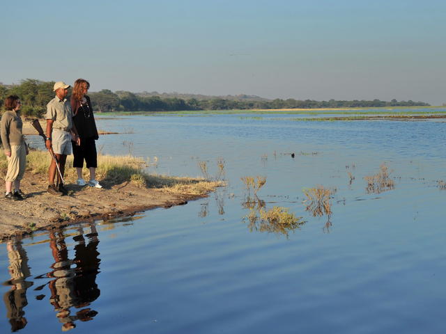 Guided Walks