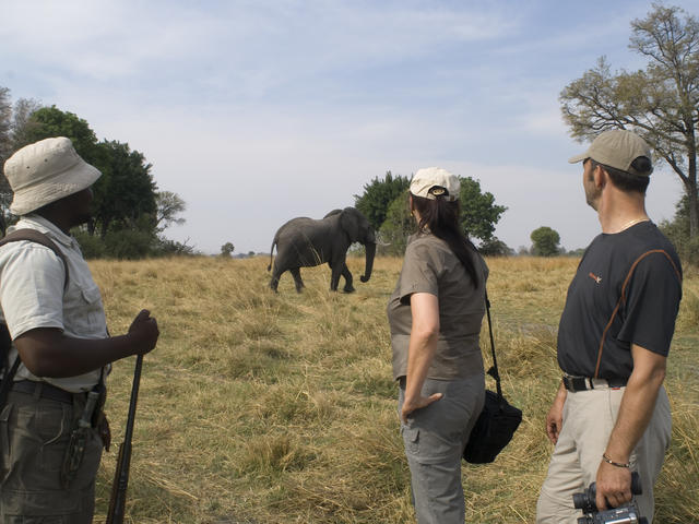 Walking Safaris