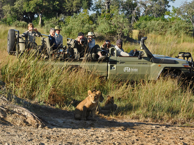 Game Drives - Day and Night