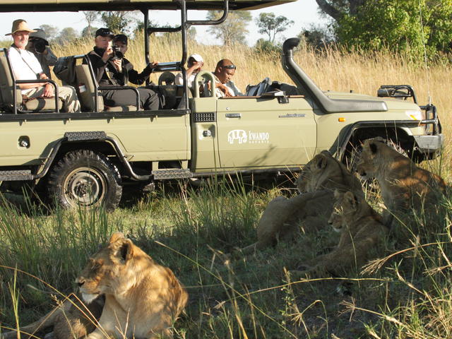 Game Drives - Day and Night