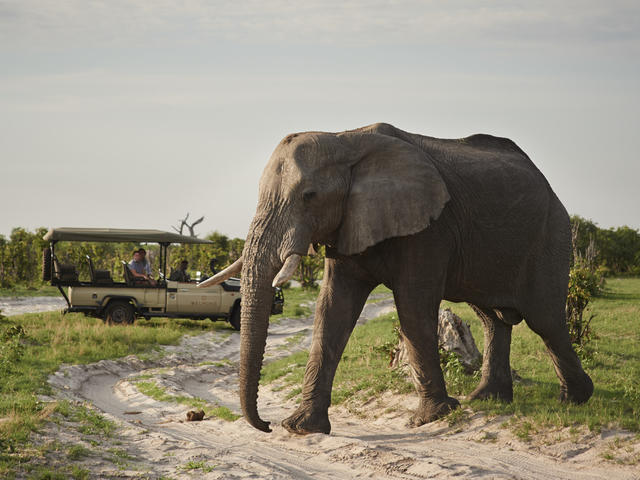 Game Drives