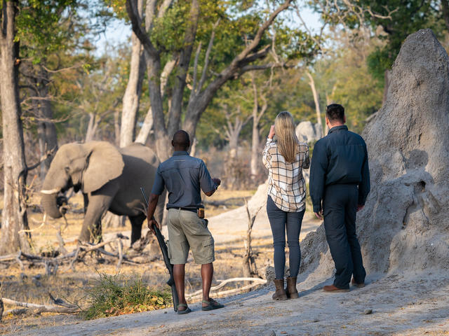Savuti Camp - Guided Nature Walks