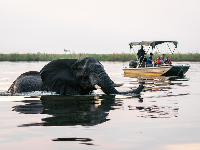 Savuti Camp - Boat Excursions