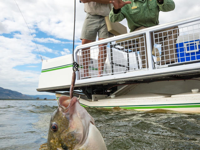 Ruckomechi – Fishing