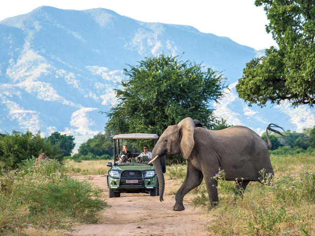 Ruckomechi – Game Drives