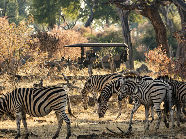 King's Pool - Game Drives