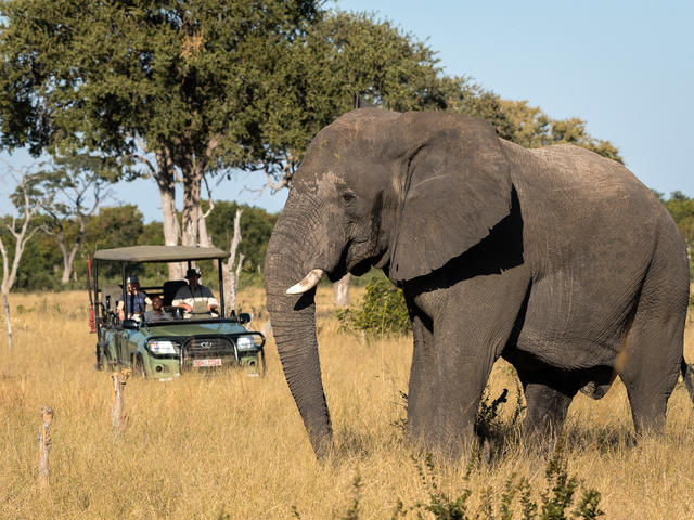 Little Makalolo - Game drives