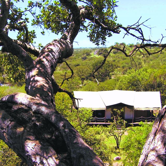 Luxury Safari Tent - Exterior