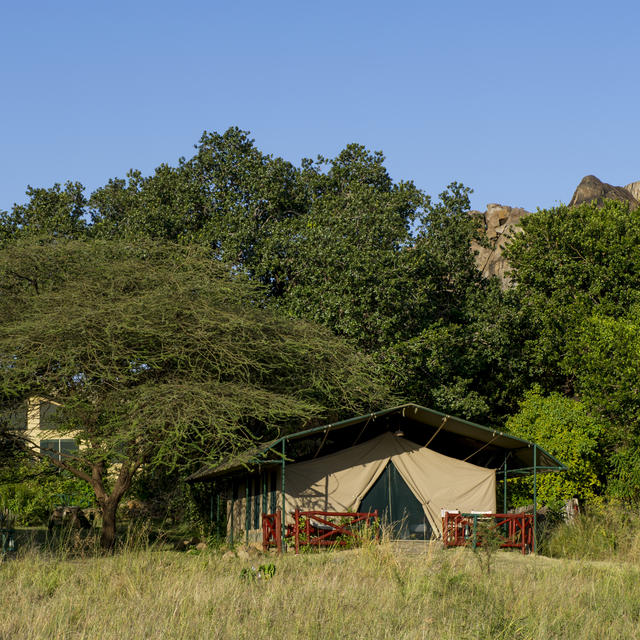 Unsere Zelte sind über einen gewundenen Steinpfad erreichbar und liegen über die felsigen Lichtungen des Camps. Sie stehen auf einer Steinplattform und jedes hat sein eigenes Zeltdach. Das weitläufige Hauptschlafzimmer verfügt über zwei Queensize-Betten, die mit Moskitonetzen bedeckt sind. Ein entspannter Sitzbereich bietet bequeme Stühle und stilvolle Lampen. Entspannen Sie sich und lesen Sie ein Buch oder nutzen Sie unseren kostenlosen WLAN-Zugang. Das Zeltbad führt vom Schlafzimmer aus und verfügt über ein WC mit Spülung, zwei Waschbecken und eine Dusche mit 24-Stunden-Warmwasser. Jedes Zelt verfügt auch über eine private Außenterrasse mit Safaristühlen und Sonnenliegen. Nehmen Sie Platz und genießen Sie den Panoramablick.