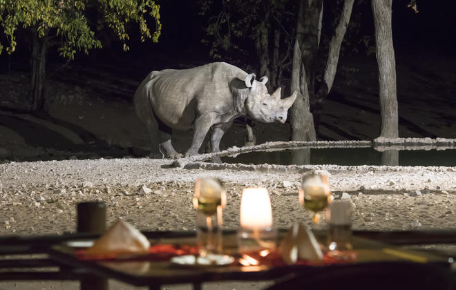 Ongava Game Reserve 