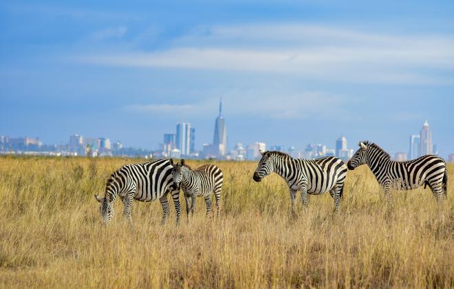 Nairobi nasjonalpark