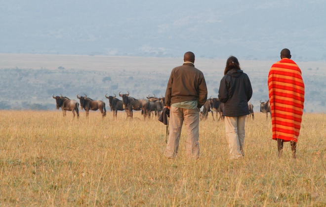 Bush walk in a Mara conservancy