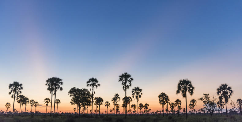 Xigera Camp