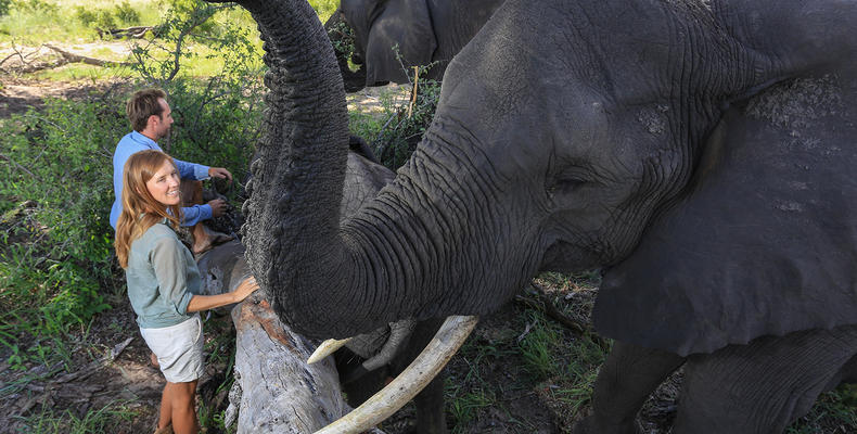 Abu Camp - Botswana