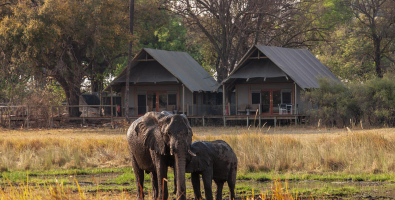 Wilderness Chitabe Lediba