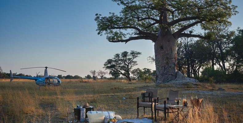 Picnic by a Baobab tree