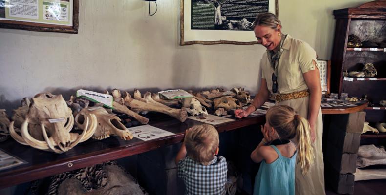Discovery Room