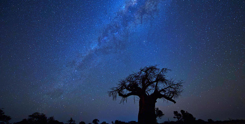 Nightsky