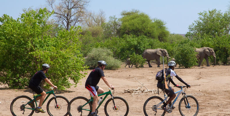 Mashatu Cycling Safari