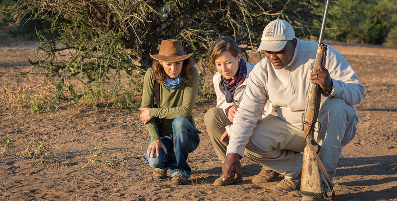 Mashatu Walking Safari