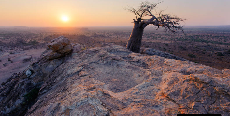 Untainted Africa in The Land of Giants