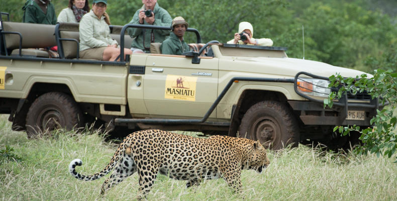 Mashatu Vehicle & Leopard