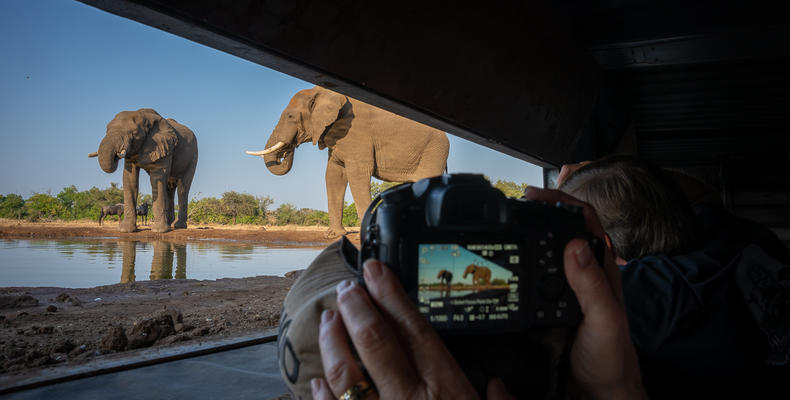 Mashatu Photographic Hide