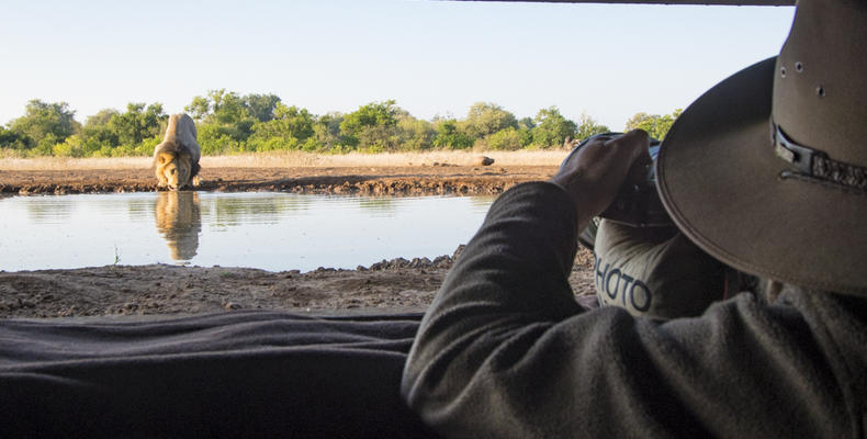 Matebole Hide