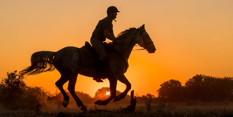 Mashatu Horse Safari