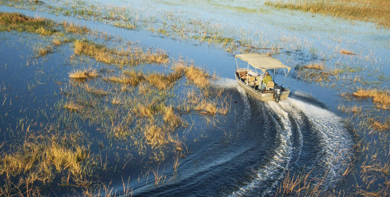 Motorboat Safari 