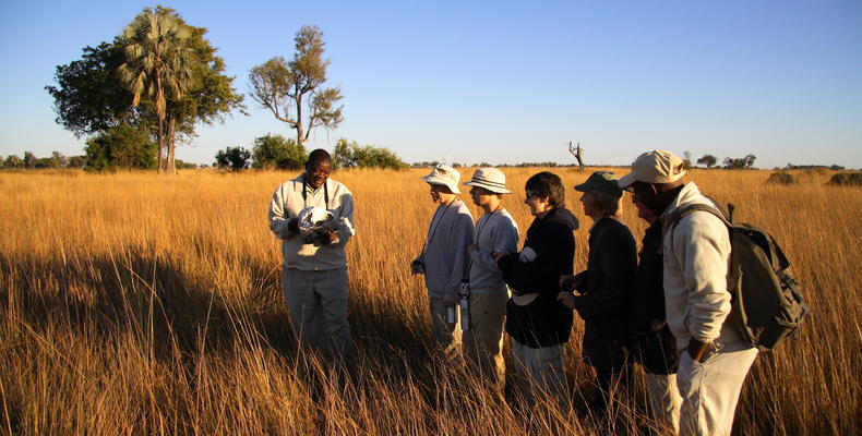 Guided bush walks are conducted on a number of the nearby islands