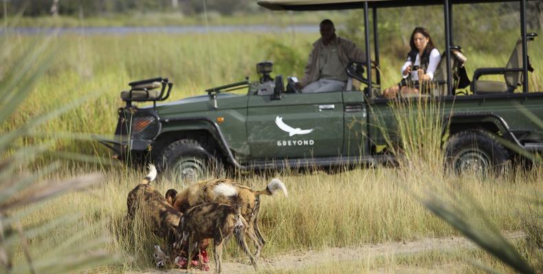andBeyond Nxabega Okavango Tented Camp