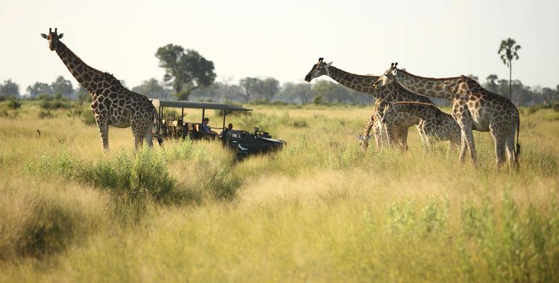 andBeyond Nxabega Okavango Tented Camp