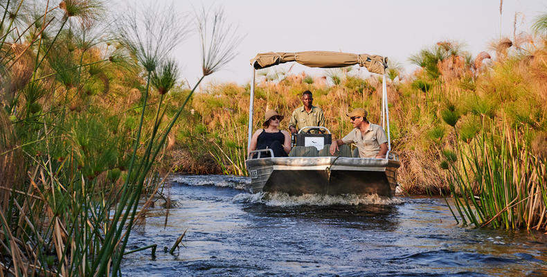 Motorboat Safaris