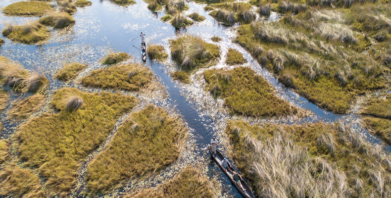 Mokoro in the Okavango Delta 