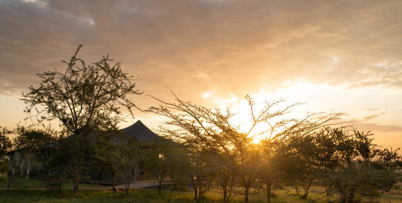 Mara Mara Tented Lodge