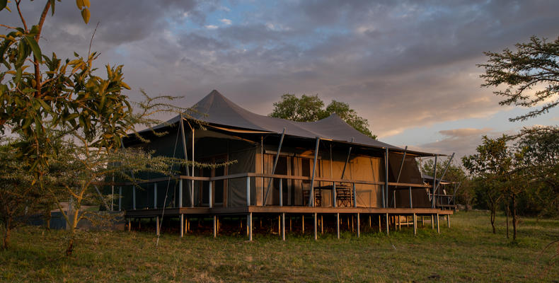 Mara Mara Tented Lodge