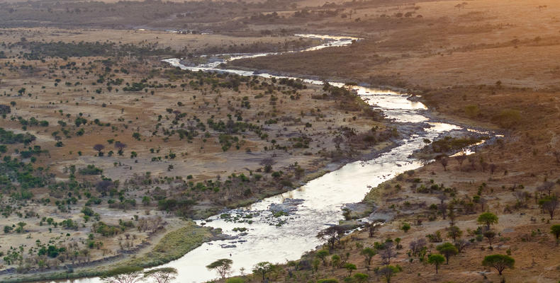 Mara River