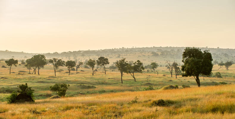 Mara Mara Tented Lodge